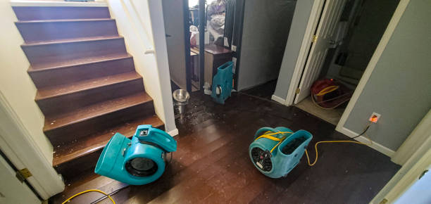 Best Flood restoration services  in Nambe, NM