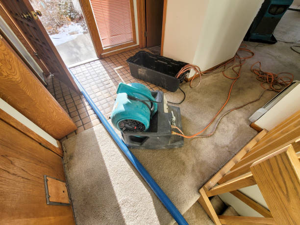 Best Residential water damage restoration  in Nambe, NM