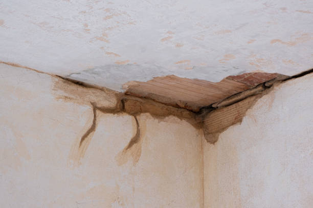 Professional Water damage restoration in NM