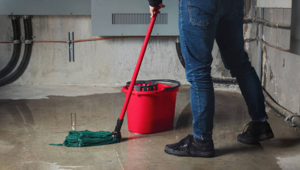 Best Basement water damage restoration  in Nambe, NM