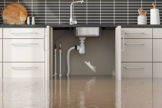 Best Water damage restoration specialists  in Nambe, NM