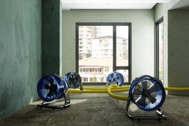 Best Local water damage restoration  in Nambe, NM