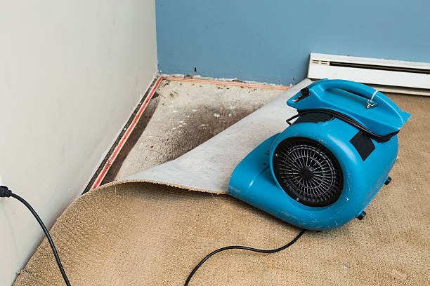 Best Fire Damage Restoration  in Nambe, NM
